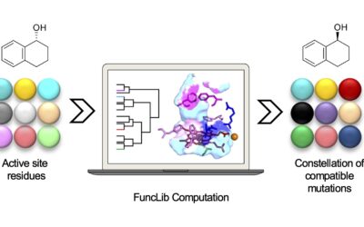 A repertoire of computationally designed peroxygenases for enantiodivergent C-H oxyfunctionalization reactions