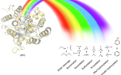 Unspecific peroxygenases: The pot of gold at the end of the oxyfunctionalization rainbow?